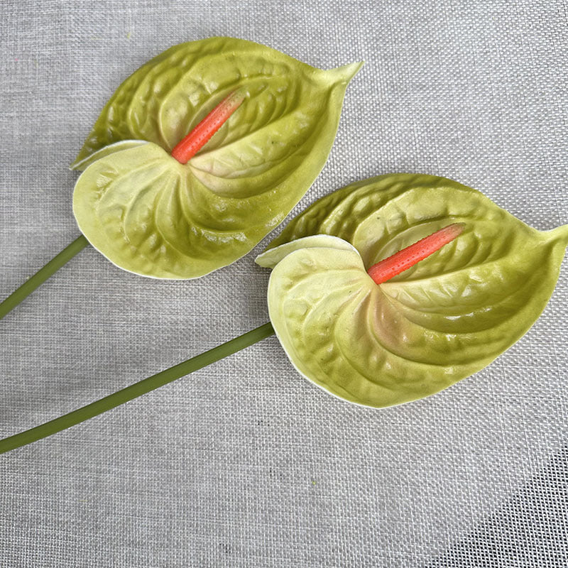 09fd5e77-b51b-4ece-b928-d2b6cf7226c5