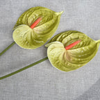 09fd5e77-b51b-4ece-b928-d2b6cf7226c5