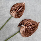 1f7e8f04-2fdd-4447-969f-d01680724b93