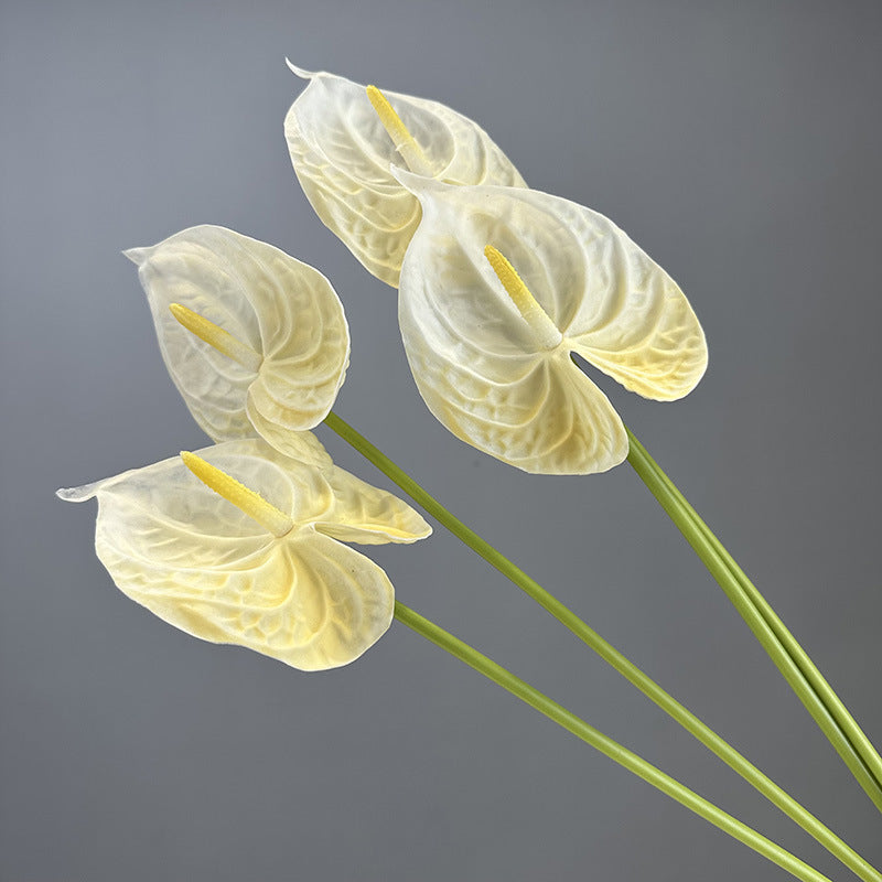 5c259799-16f1-40c5-b4ee-69bd49168fb4