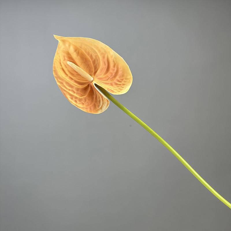 b66b66c1-dcbd-439e-8246-215800a6c949