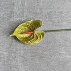 da93c231-1acc-499e-8983-1de7be8fee79