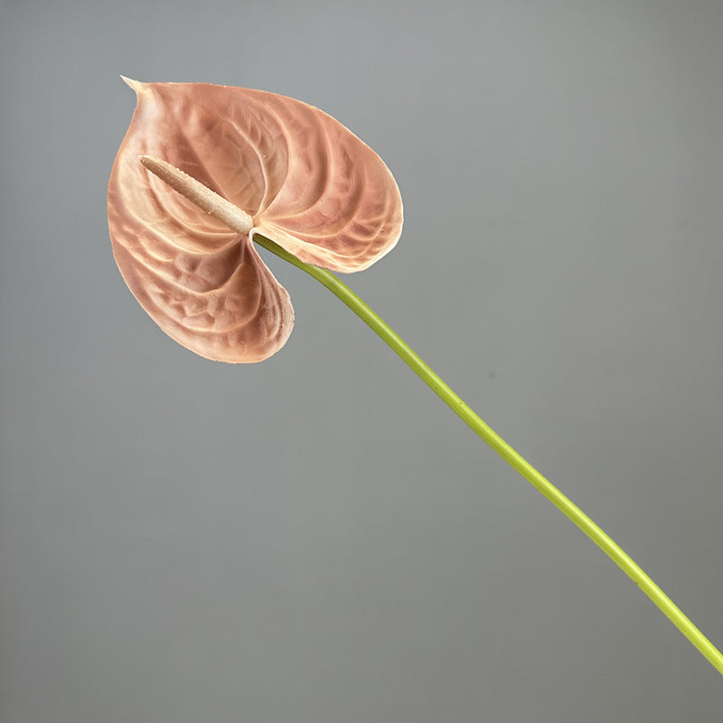 4e1da9d5-48e0-4763-ba0e-8822ac64ce16