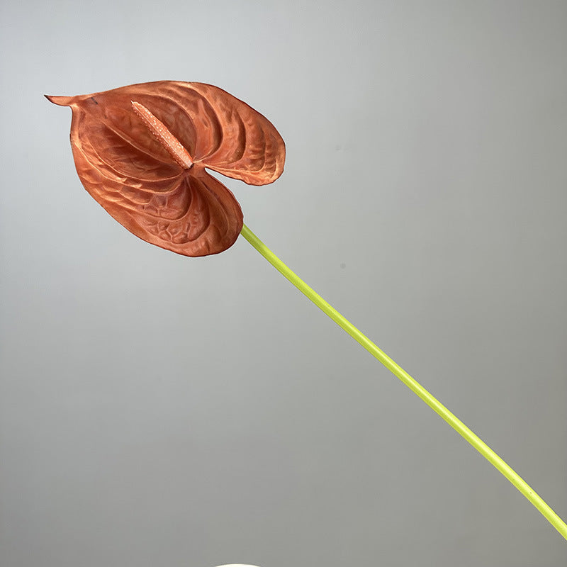 46a0e490-77fe-41b9-9c15-c5bebf3b72a2