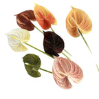 50f81aee-4a82-4359-bf7a-3034ff6e7c3c