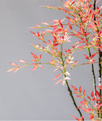 fdc47e2f-f93f-482a-8d10-bec32d299092