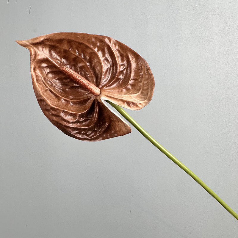 2678ff08-5f1a-4895-9ef7-8db96f8512b2