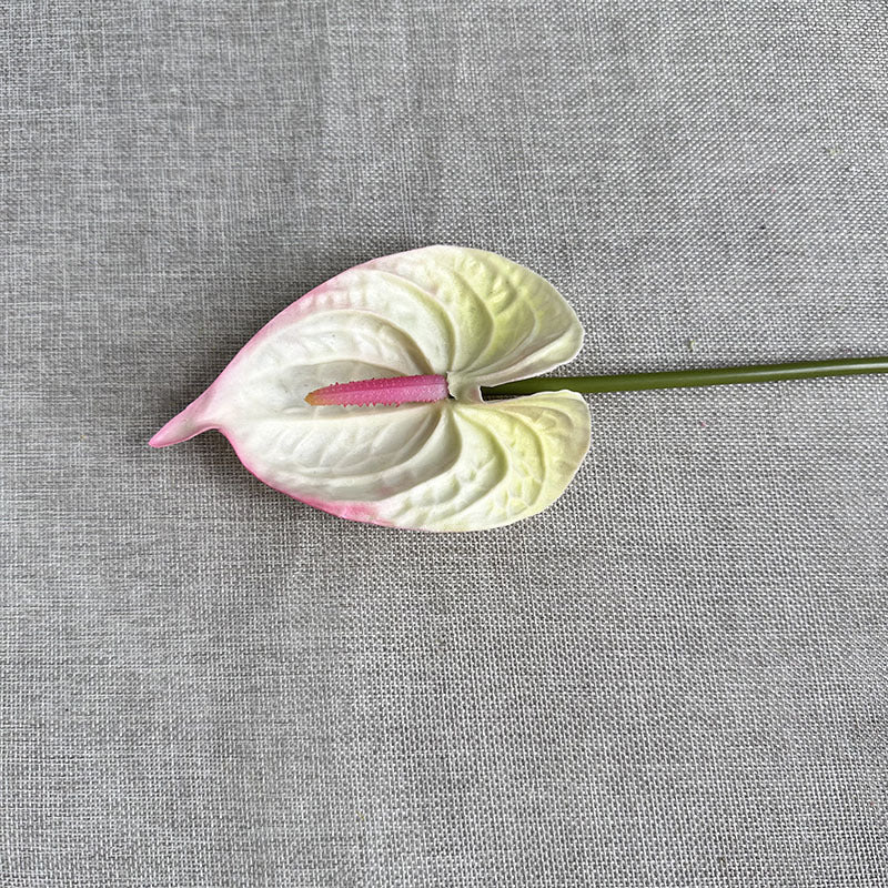 6b17a7a3-4645-40dc-acd8-1dd48b68dee5