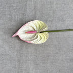 c38c1c80-2d0a-46d8-a705-3e10b1976d6c