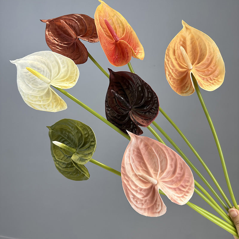 27e6e973-960a-44a9-bb8d-bad4a36ab83e