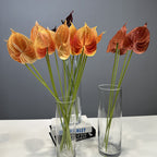 b3aefb59-d2ec-4c61-b31a-7d598fe37edd