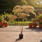 7e3105f2-a6fb-42bc-bbf9-114bb8f79868