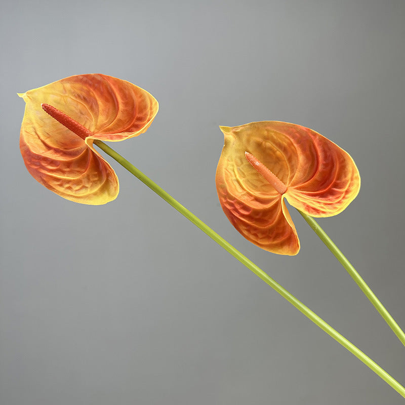 0fa8318d-45c5-4ab7-99f6-a69ec362e4e3