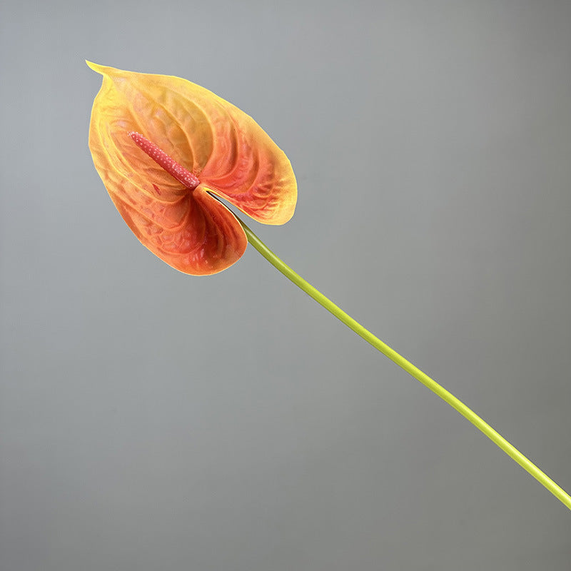 fb86ae97-df92-483b-a956-c089c194f06d